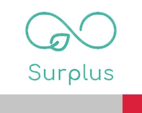 Surplus